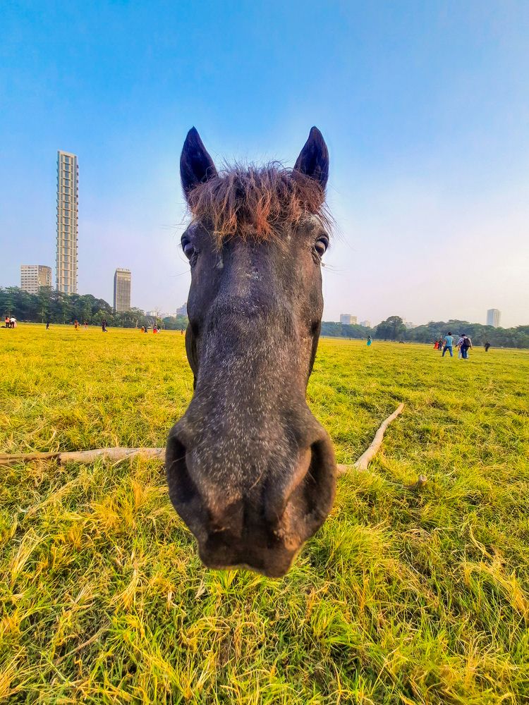 Photograph by Jit Chakraborty