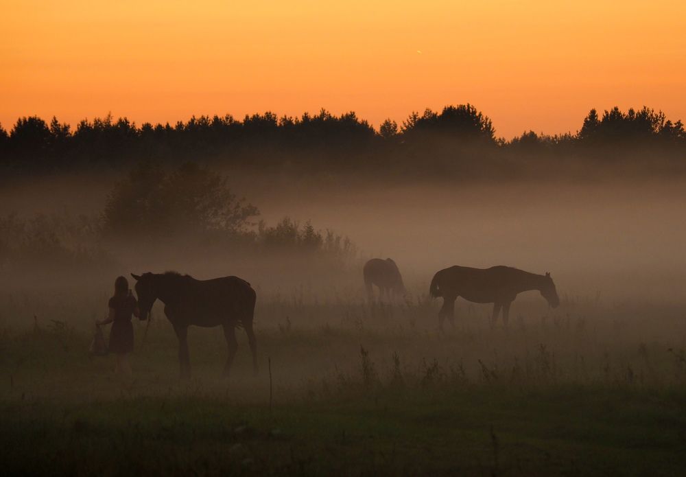 Photograph by Екатерина Шмелева