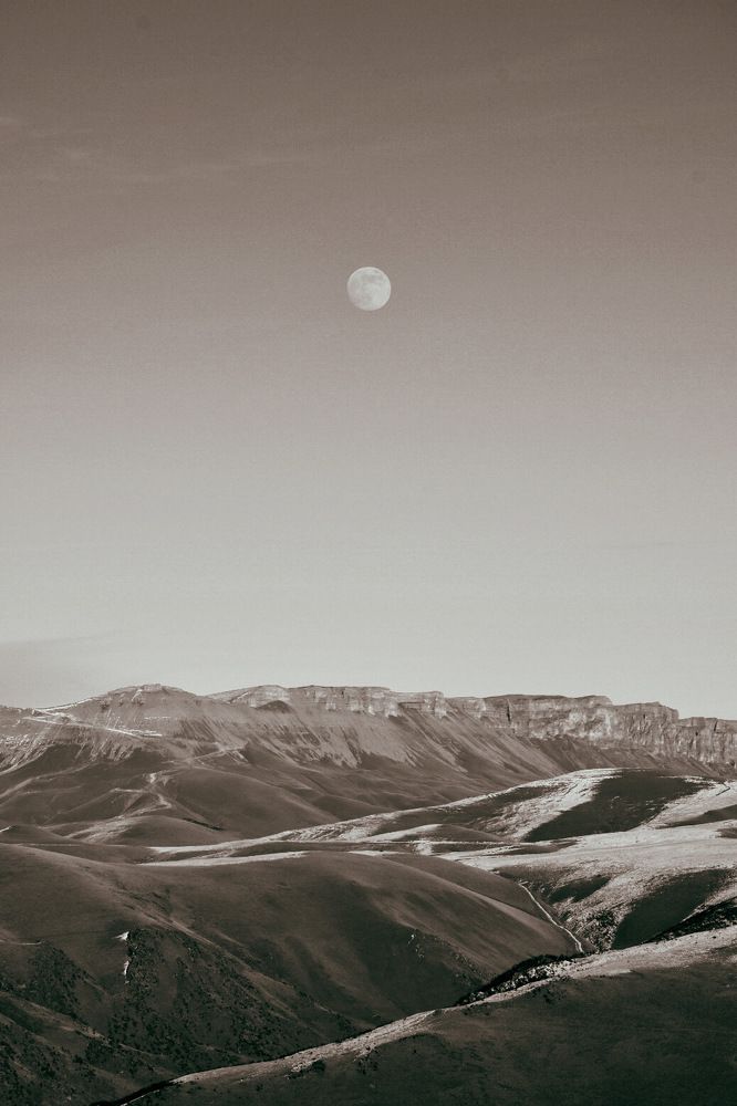 Photograph by Elena Kruglyakova