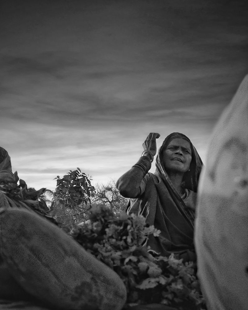 Photograph by Nomesh Patel