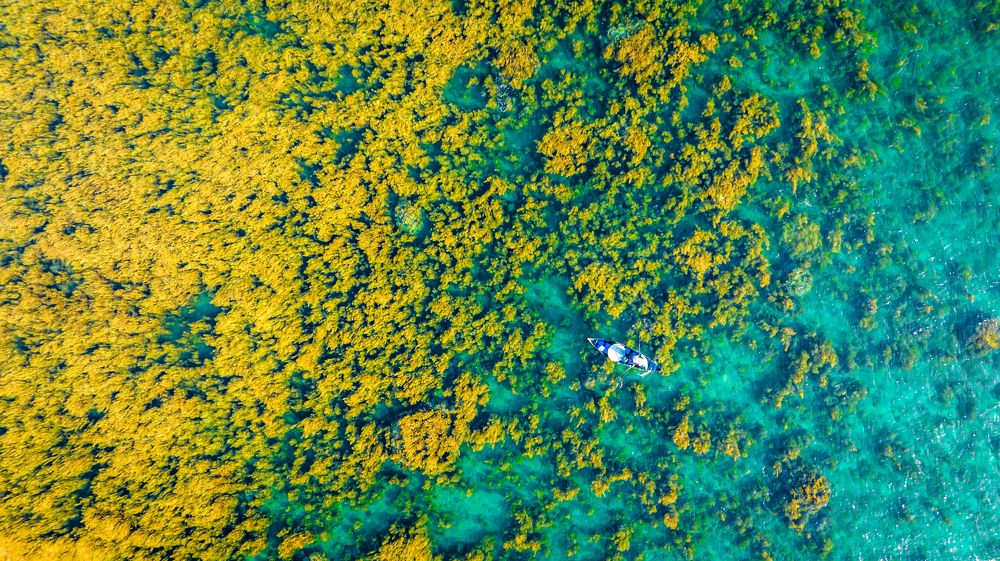 Photograph by Minh Tú Nguyễn