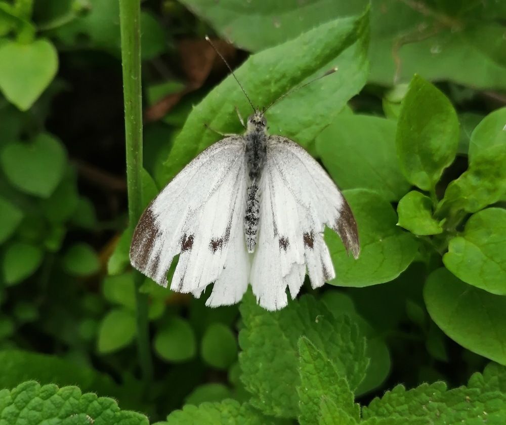 Photograph by Наталия