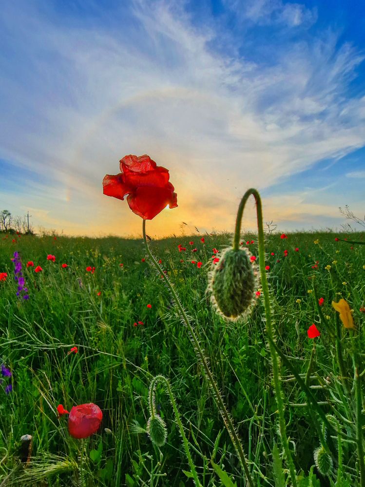 Photograph by Лариса Когтева