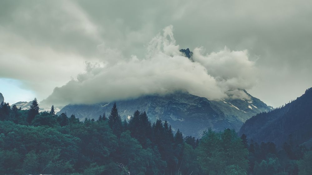 Photograph by Лазурченко Анастасия