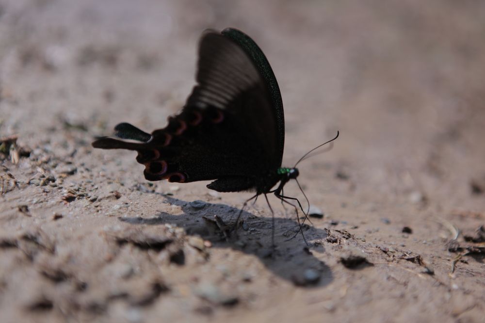 Photograph by Alexander Popov