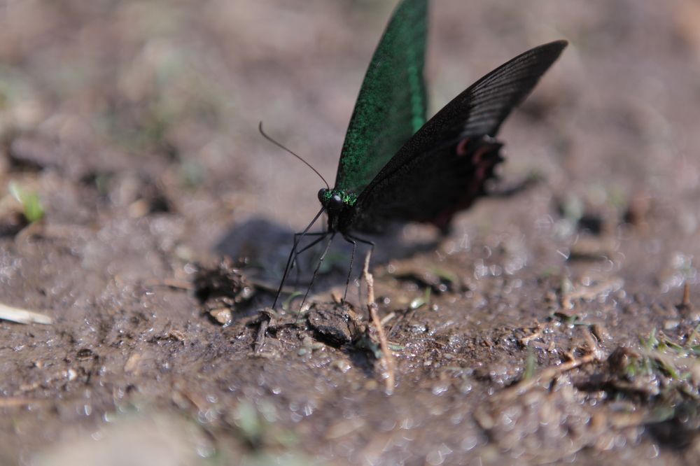 Photograph by Alexander Popov