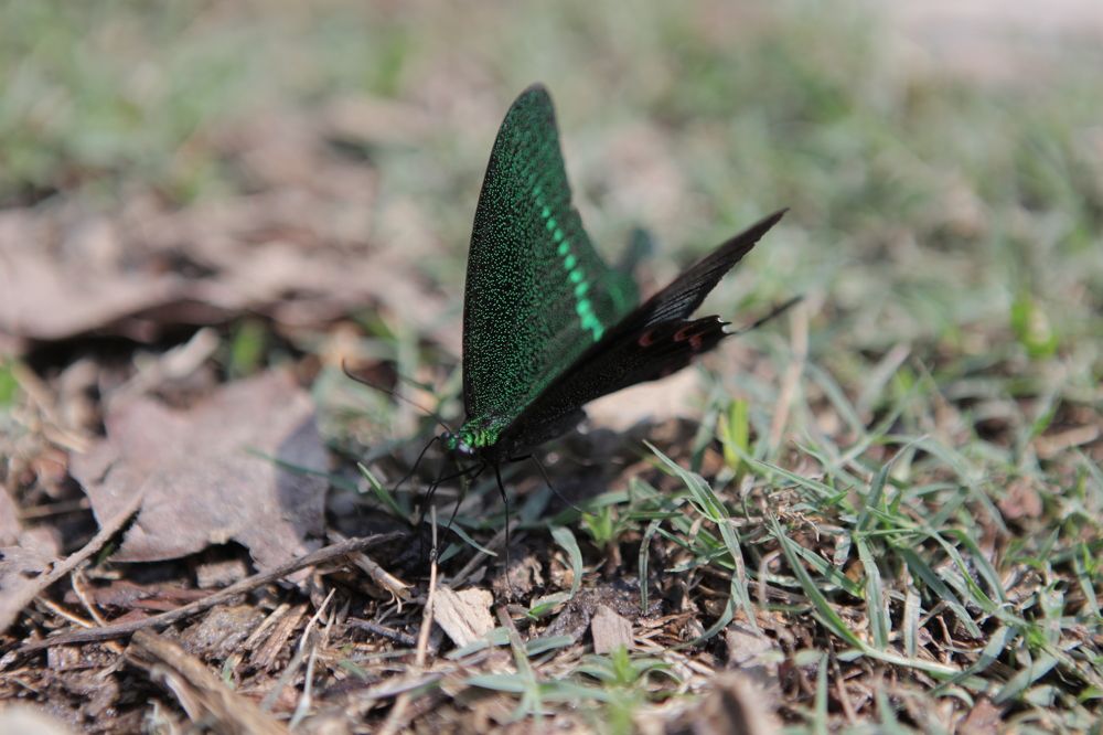 Photograph by Alexander Popov