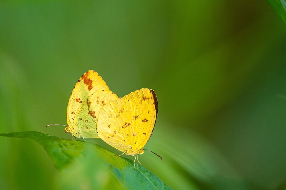 Photograph by LegendZRAG