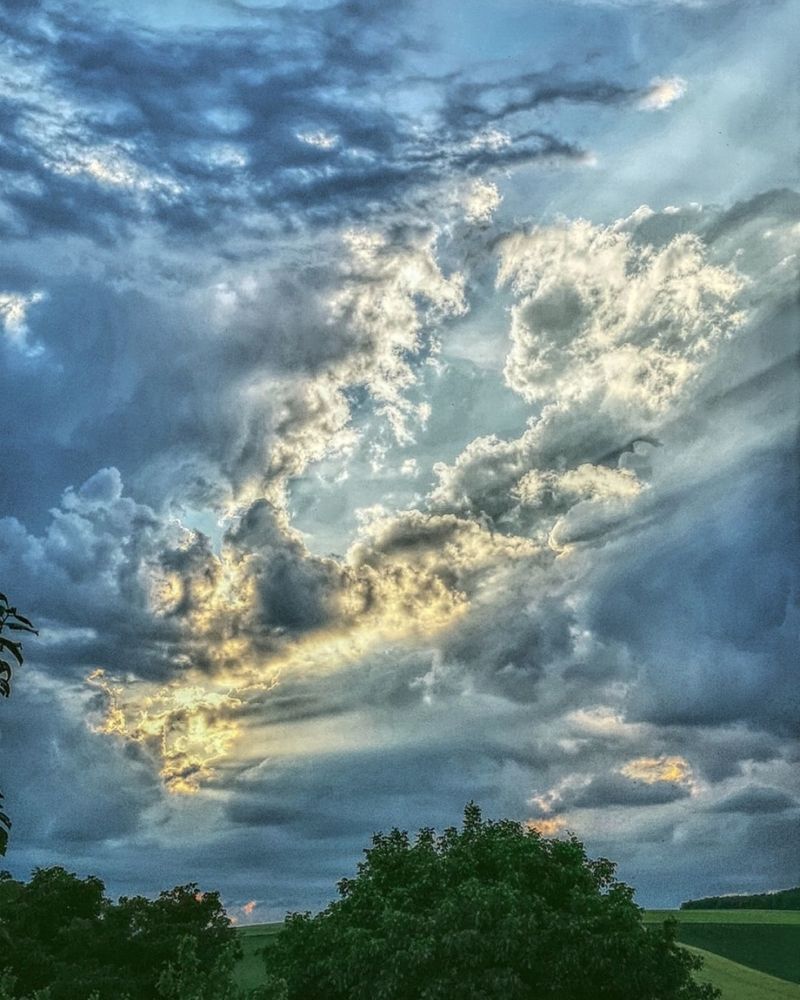 Photograph by Nikolett Mengyi