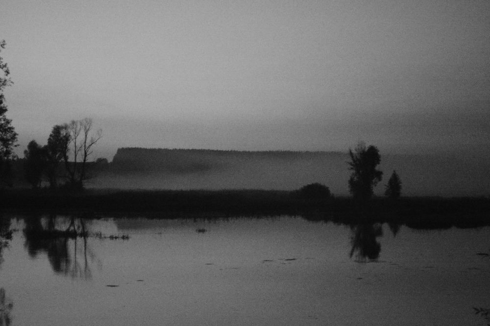 Туман над Немдой.