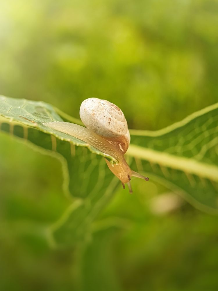 Photograph by Hannah Surji