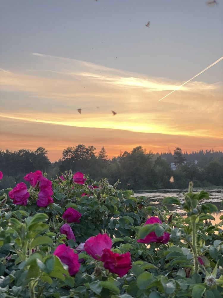 Photograph by Алина Щекотова