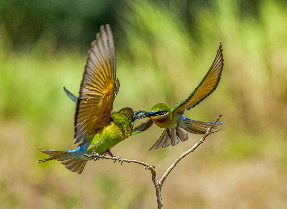 Photograph by Viet Nguyen Ho