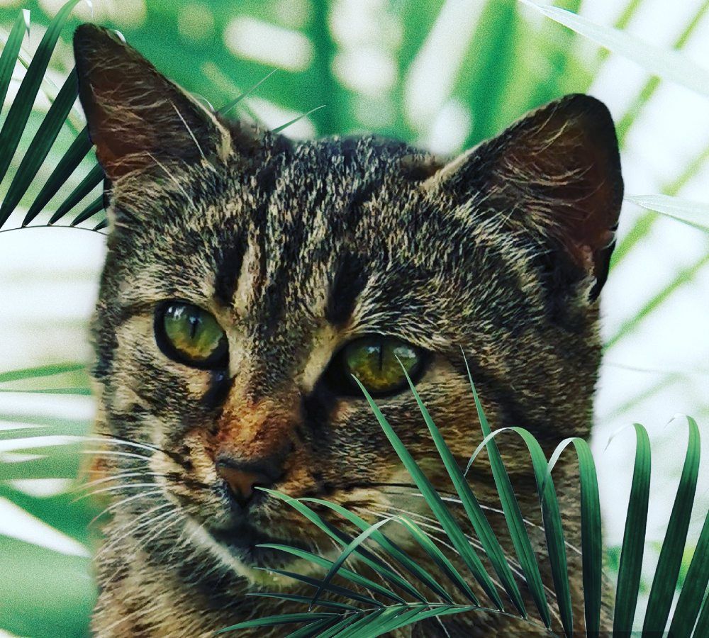 Photograph by Nikolett Mengyi