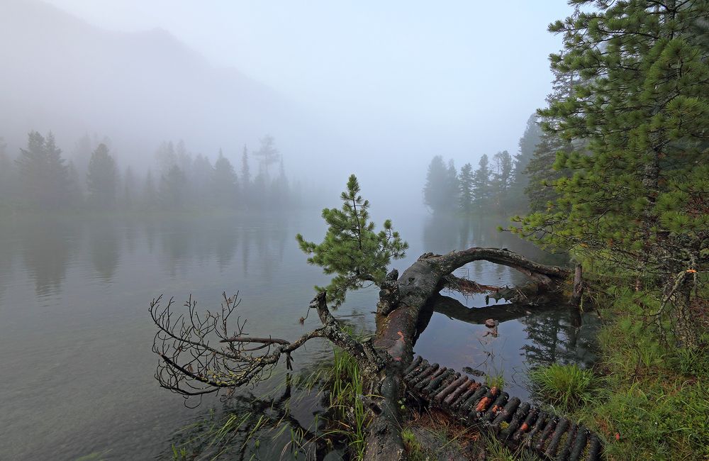 Перед рассветом...