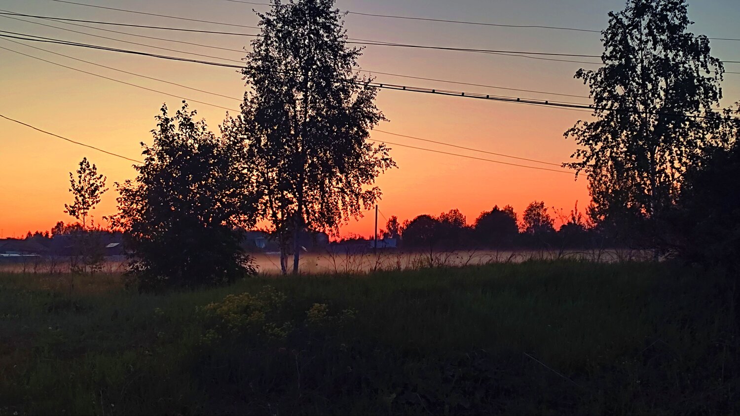 Photo #9201845