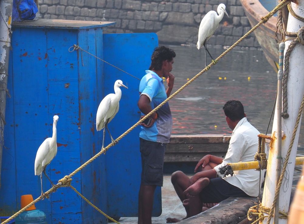 Photograph by Екатерина Шмелева