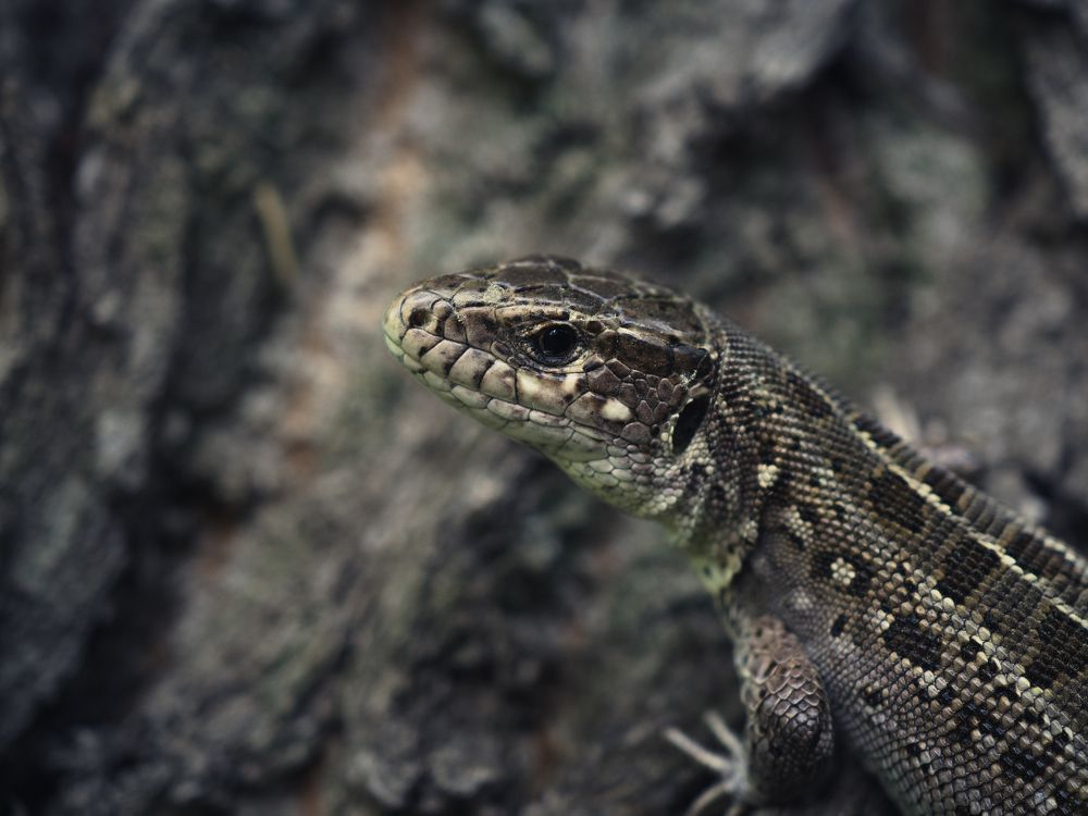 Photograph by Юрий Говорков