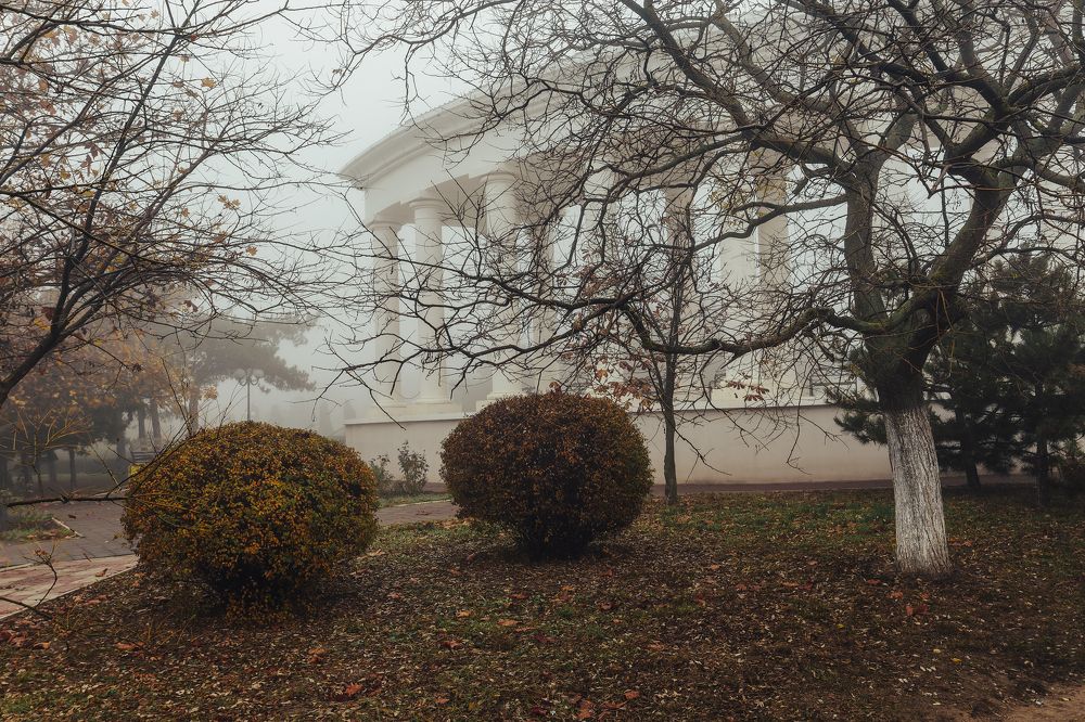 Photograph by Oksana Palanychka