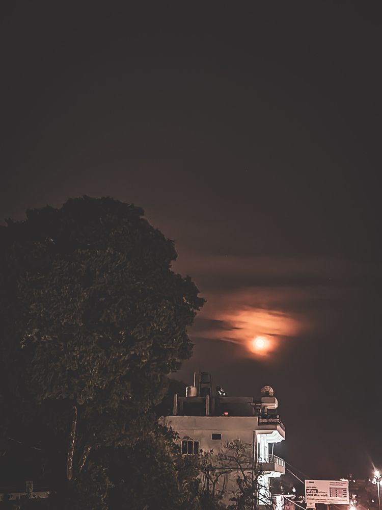 Photograph by Rakshit Sah