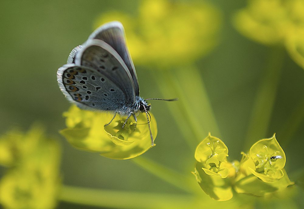 Photograph by Дроздова Наталья