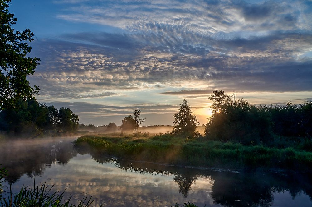 Photograph by Шелепнёва Лина