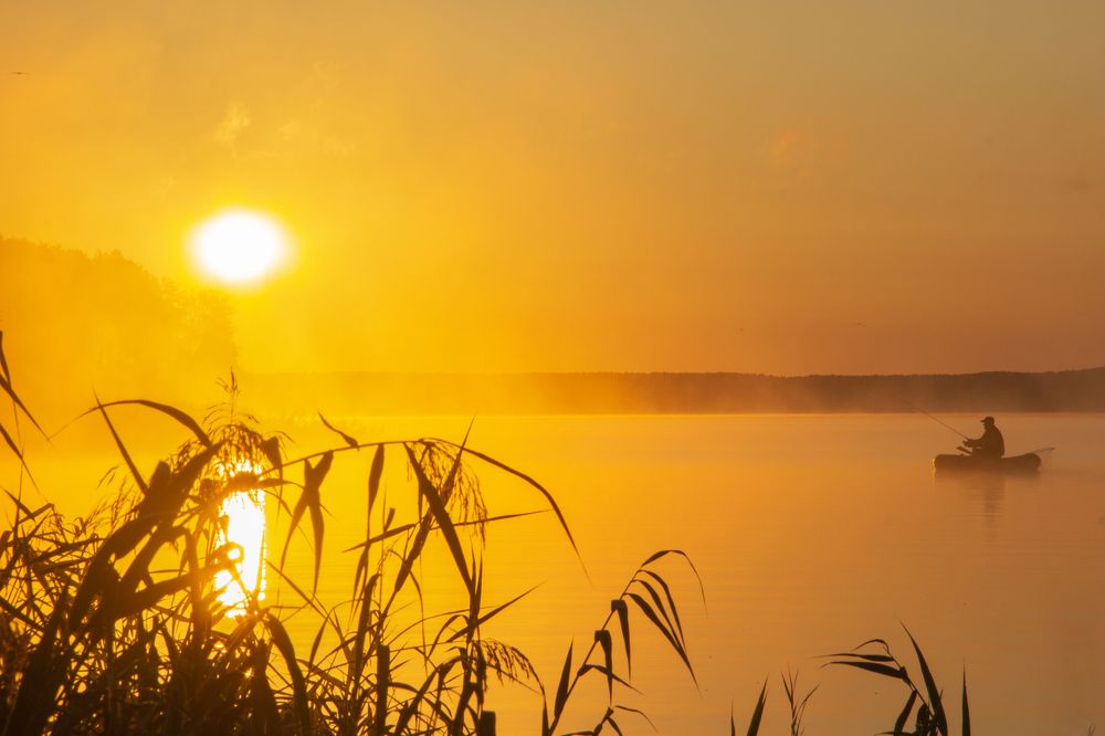 Photograph by Шелепнёва Лина