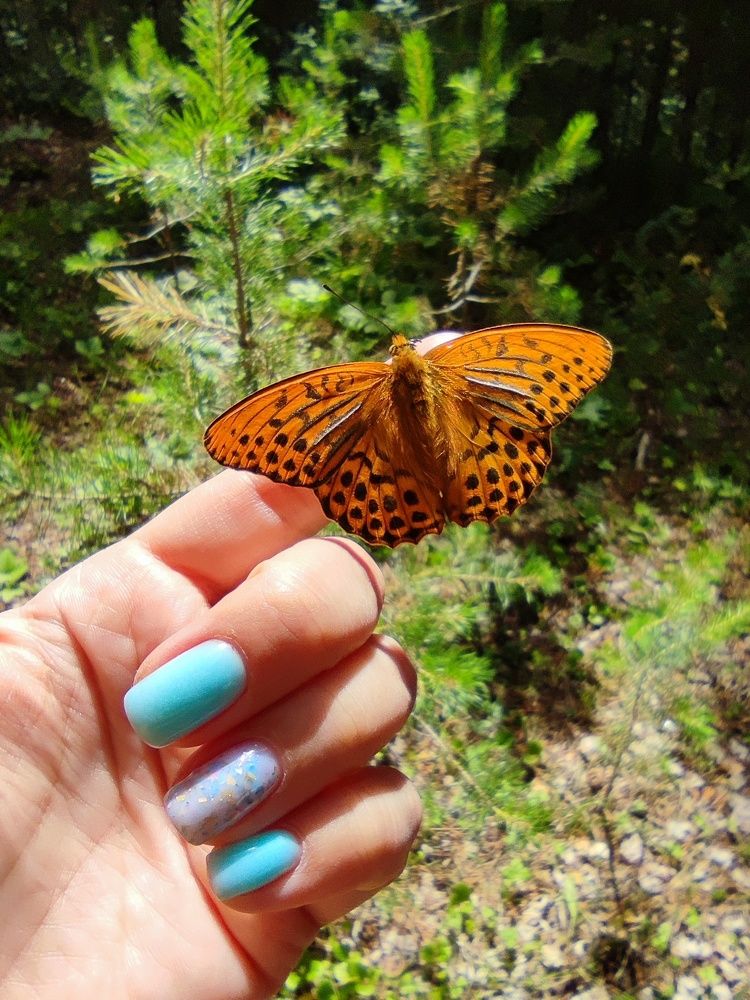Photograph by Светлана Рогачева
