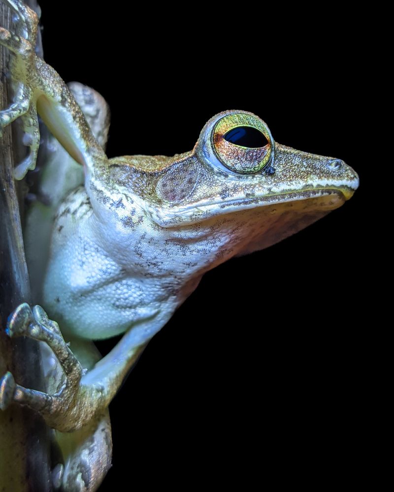 Photograph by Vaishnav K V