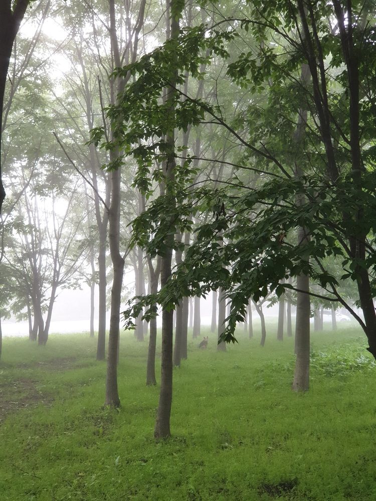 Фотография автора Любовь Филиппова