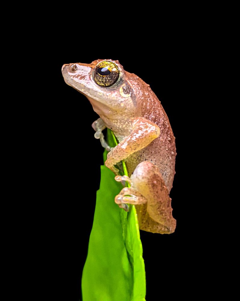 Photograph by Vaishnav K V