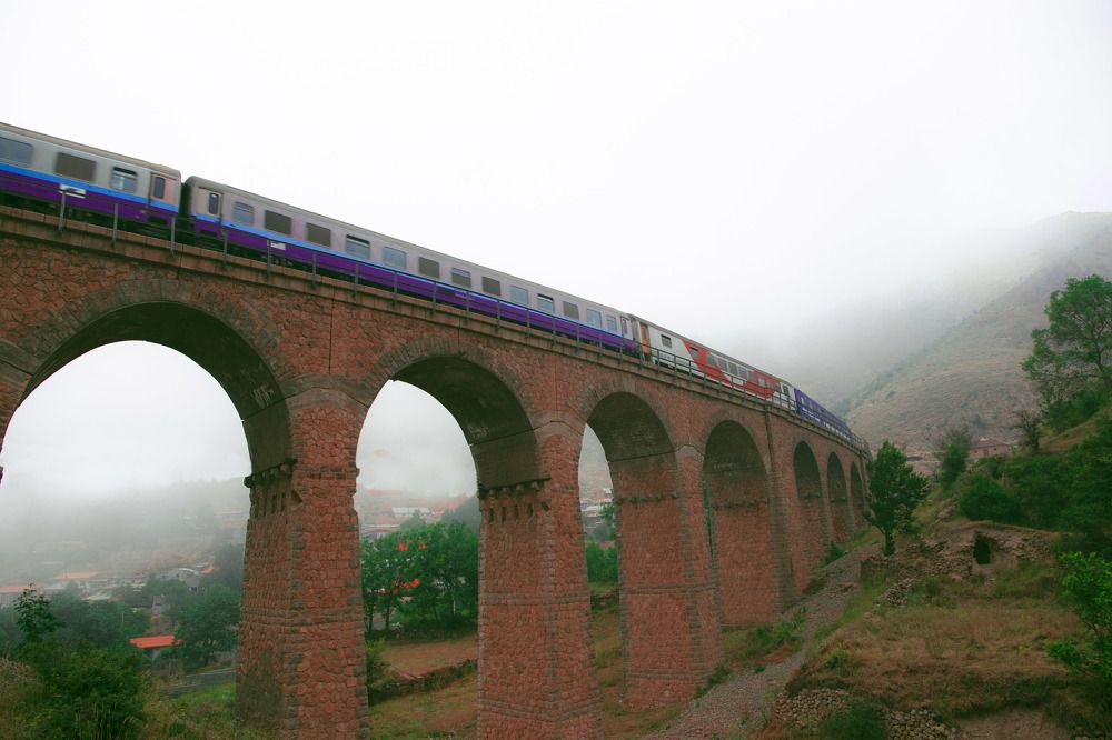 Photograph by alireza haji Akhondian