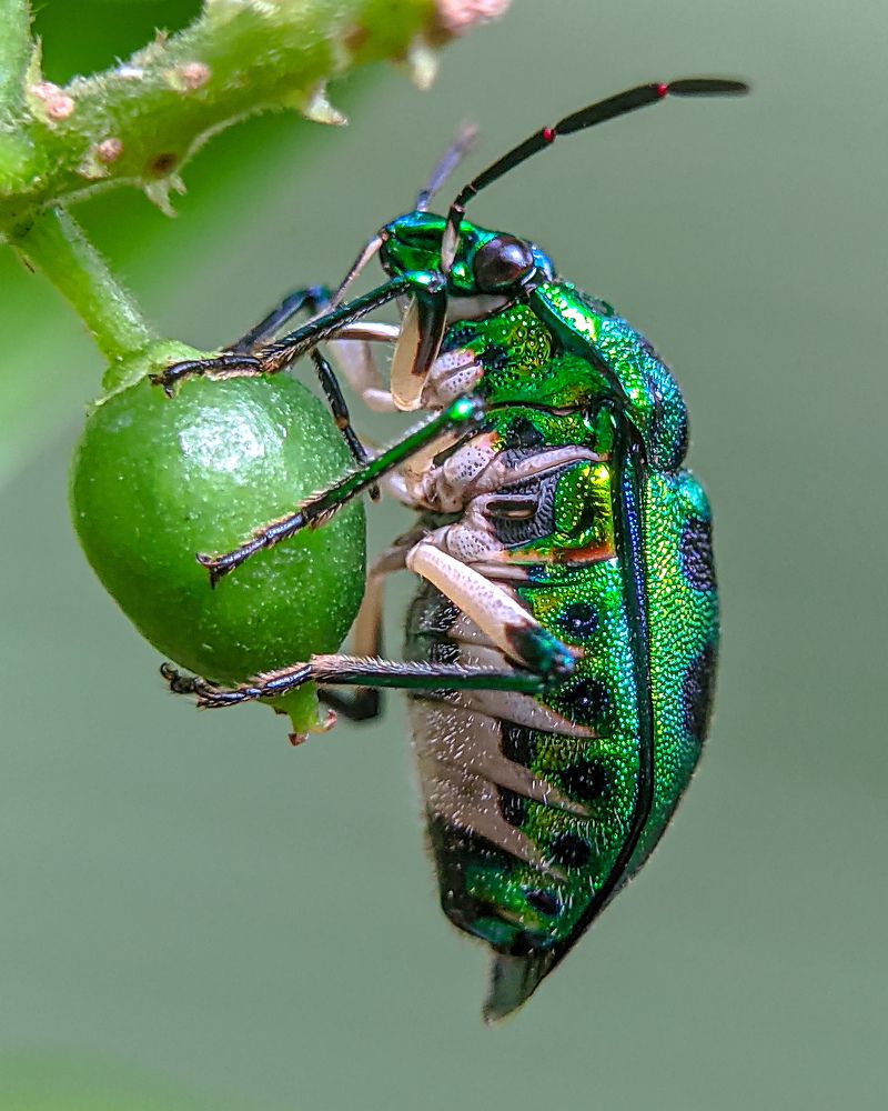 Photograph by Vaishnav K V