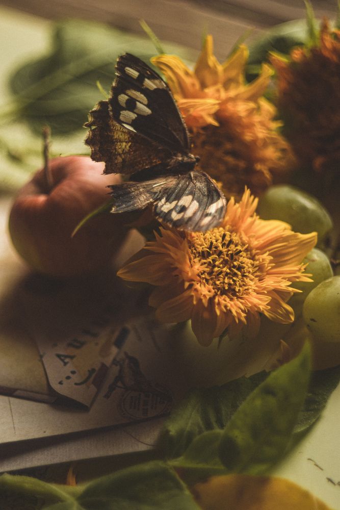 Photograph by Анна Федотова