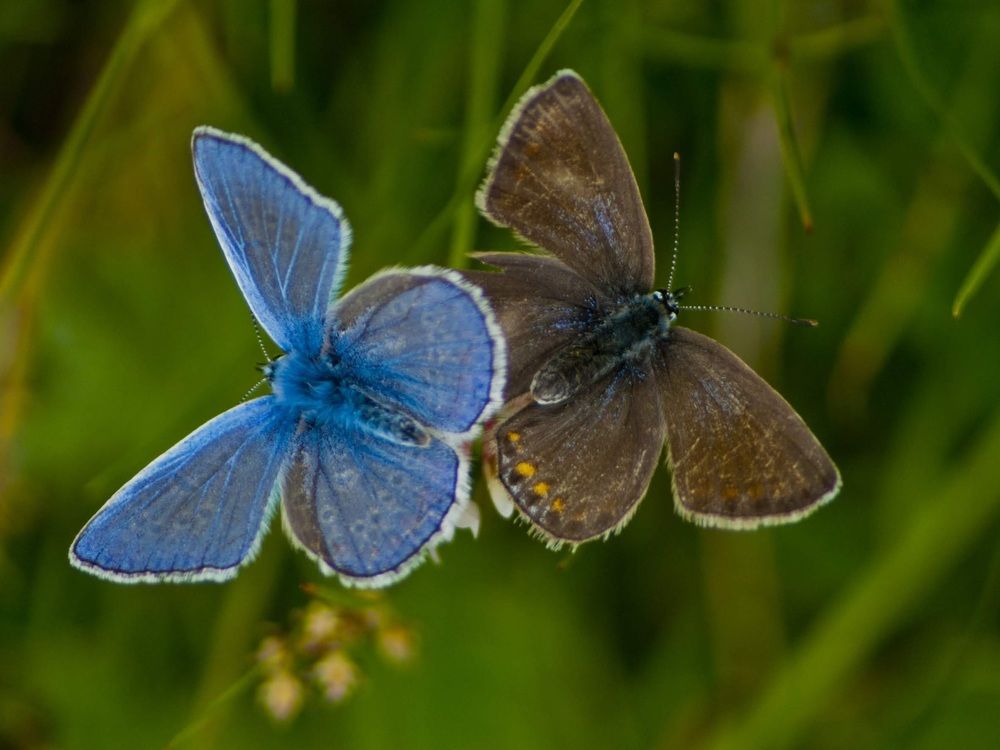 Photograph by Дмитрий Жуков
