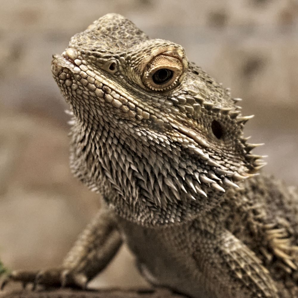 Photograph by Евгений Козлов