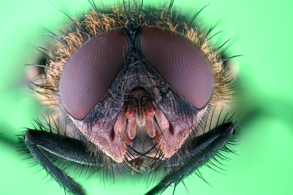 Photograph by Александр Трипольский