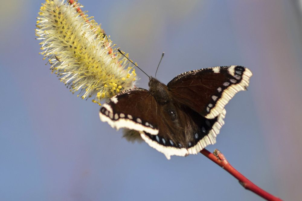 Photograph by Вера Почкалина