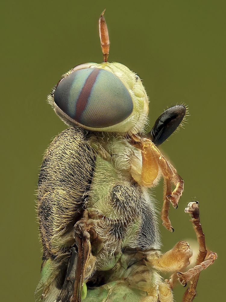 Photograph by Jacob Ng