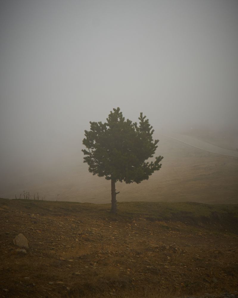 Photograph by Руфат Лажанский