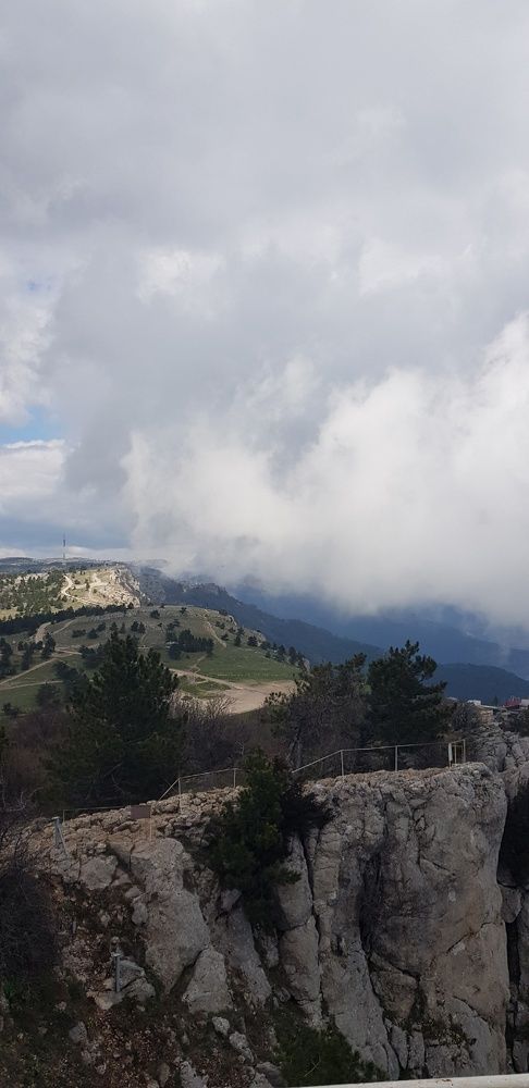 Фотография автора Ольга Мусина