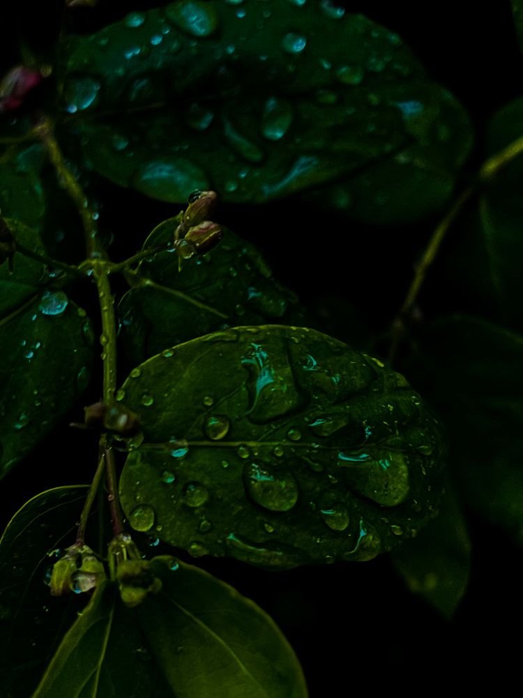 Photograph by Анастасия Щербакова