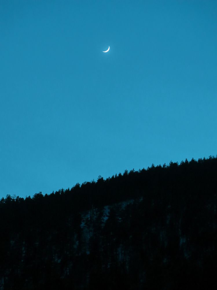 Photograph by Elza