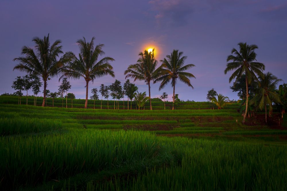 Photograph by rahmad himawan