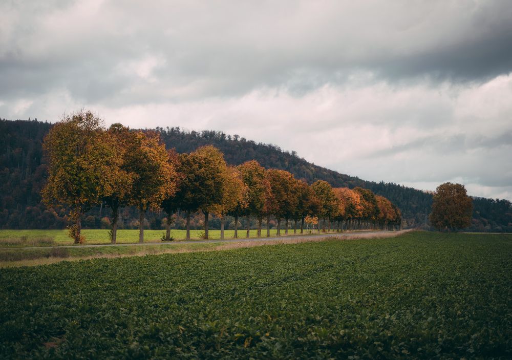 Photograph by Екатерина Карпова