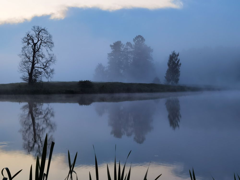 Photograph by Юлия