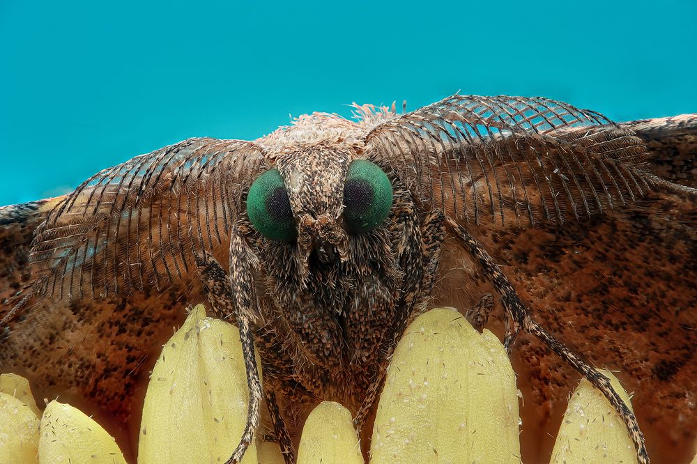 Photograph by Jacob Ng