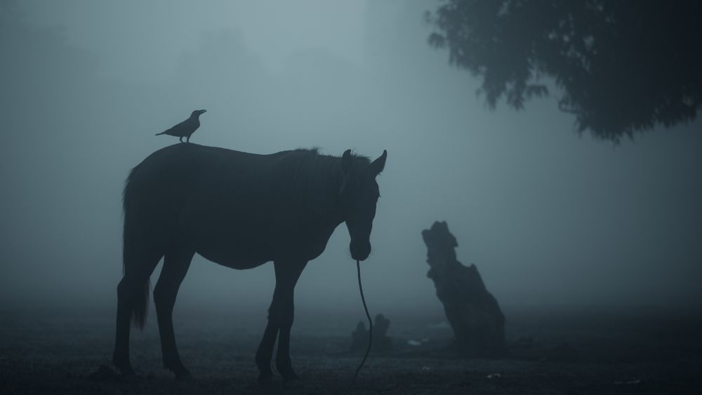 Photograph by Kumarjeet Ray