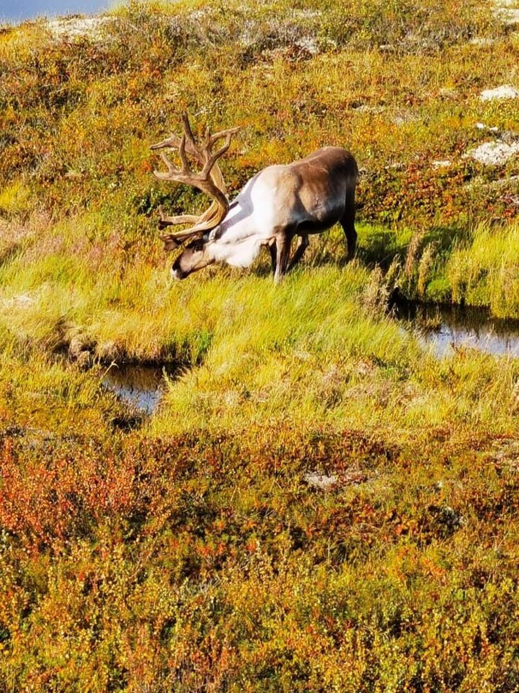 Photograph by Степан Павловский