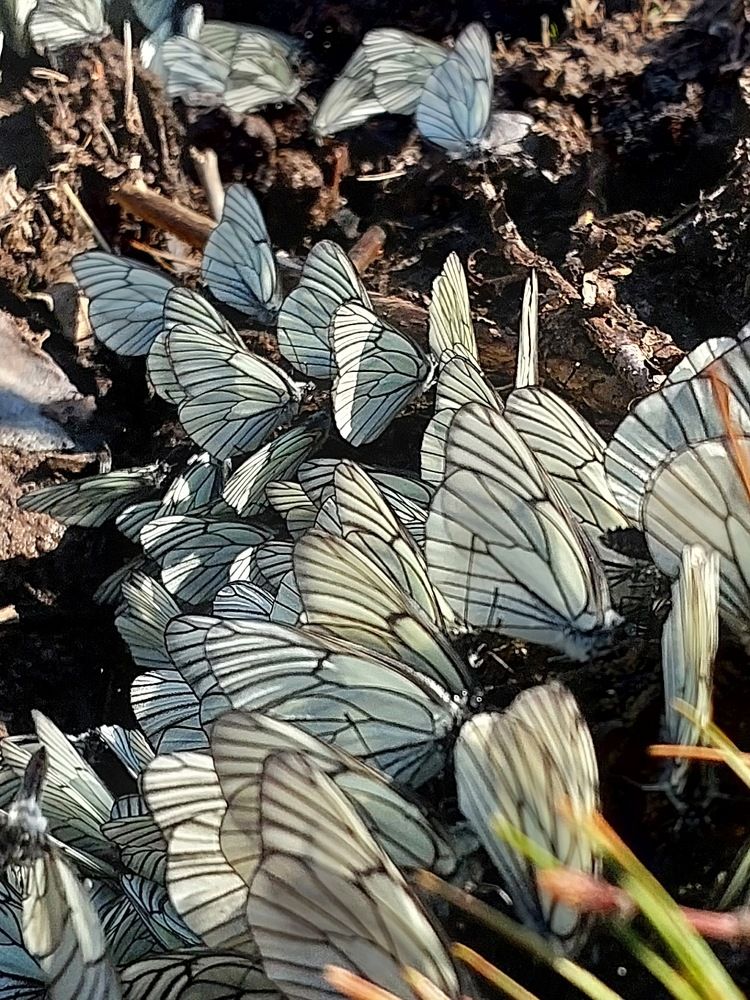 Photograph by Степан Павловский